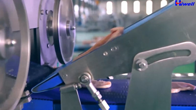 Автоматическая машина для формования пищевых сред AMF400-II | Видео ...